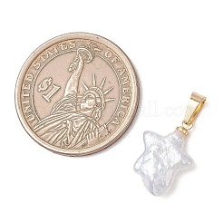 Подвески из натурального барочного жемчуга Кеши&nbsp;PALLOY-JF05103