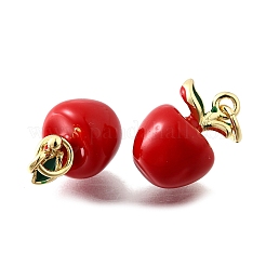 Латунь эмаль подвески&nbsp;X-KK-Z104-06G-03