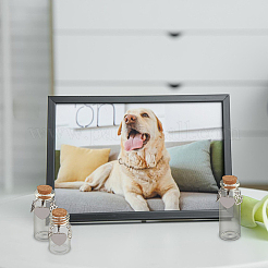 6 шт. 3 стиля прозрачные стеклянные бутылки желаний&nbsp;AJEW-DR00047