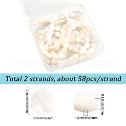 2 нить бусин из натуральных пресноводных ракушек&nbsp;SSHEL-SC0001-36A