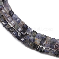 Природные иолит нитей бисера G-RM2025-C33-B