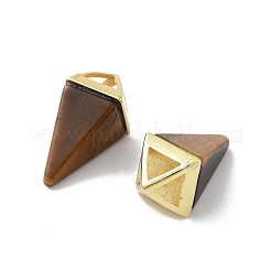 Природных тигровый глаз подвески&nbsp;G-A222-02G-05