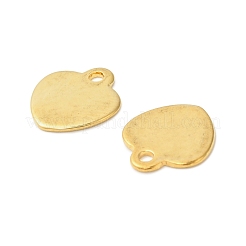 Подвески из нержавеющей стали 304&nbsp;STAS-I350-01G-02