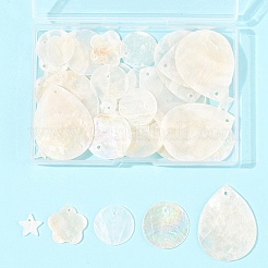 56 шт. 5 стиля подвески из натуральной ракушки капиз&nbsp;SHEL-FS0001-08