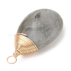 Природные подвески лабрадорита&nbsp;PALLOY-JF05086-02