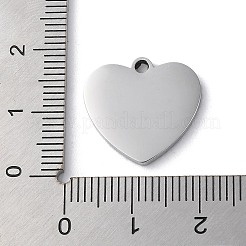 Подвески из нержавеющей стали 304&nbsp;LS-STAS-D025-01P-02