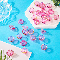 30 шт.&nbsp;PACR-TA0001-20A