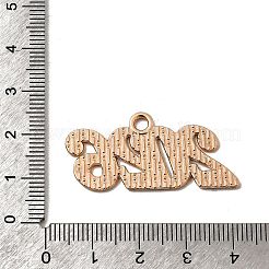 10 шт. Подвески из сплава с эмалью&nbsp;PALLOY-D314-07KCG