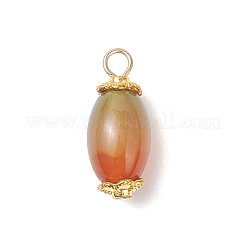 6 подвеска из натурального павлиньего агата (окрашенного и подвергнутого термической обработке).&nbsp;PALLOY-JF04532-03