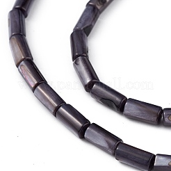 Натуральные пресноводные окрашенные бусы из ракушек&nbsp;SHEL-M018-11-09