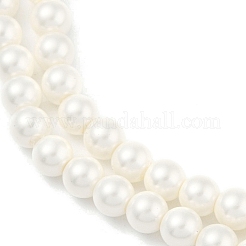Круглые раковины жемчуг нити&nbsp;BSHE-XCP0001-40A
