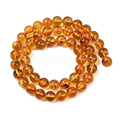 Янтарные шарики нити&nbsp;G-L095-B01-8mm-02