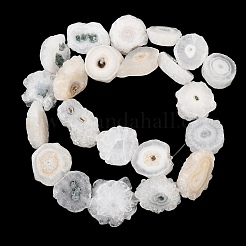 Натуральные бусины из агатовых срезов с друзами подсолнечника&nbsp;G-K381-A01