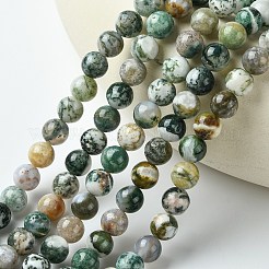 Естественно агат драгоценный камень бисер круглый пряди&nbsp;X-G-R255-8mm