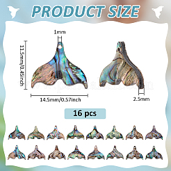 16 шт. подвески в виде хвоста кита из натуральной ракушки пауа&nbsp;SHEL-BC0001-045