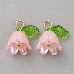 Акриловые подвески&nbsp;KY-TAC0009-03C