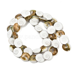 Натуральные бусины из ракушек «глаз Шивы»&nbsp;SHEL-G021-01A