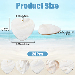 20 шт подвески из натуральных пресноводных ракушек&nbsp;SHEL-SC0001-96