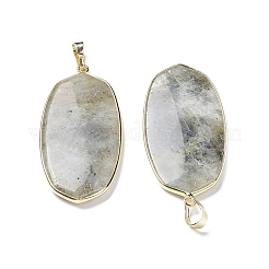 Природные подвески лабрадорита&nbsp;G-K338-05B