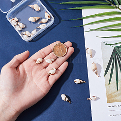 20 шт. гальванизированные спиральные подвески-ракушки&nbsp;SSHEL-UN0001-02