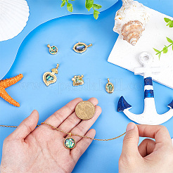 6 шт. 6 стиля подвески из латунных ракушек паве из натурального пауа&nbsp;KK-PH0013-84