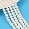 Natural Cultured Freshwater Pearl Beads Strands, Potato, Grade 6A, Seashell Color, 7~8mm, Hole: 0.7mm, about 54~55pcs/strand, 14.09~14.37 inch(35.8~36.5cm)
