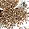 TOHO Round Seed Beads, Japanese Seed Beads, (989) Gilt Lined Crystal, 8/0, 3mm, Hole: 1mm, about 222pcs/10g