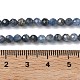 Натуральные нити из кианита / цианита / дистенового бисера&nbsp;G-L651-C02-4mm-5
