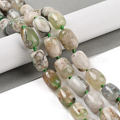 Натуральные вишневые агатовые бусины&nbsp;G-P535-H02-01A