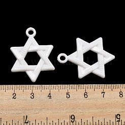 Непрозрачные акриловые подвески&nbsp;SACR-L007-043C