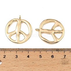 Латунные подвески&nbsp;KK-D106-01G