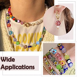 26шт 13 цвета прозрачные бусины лэмпворк&nbsp;LAMP-CJ0002-35