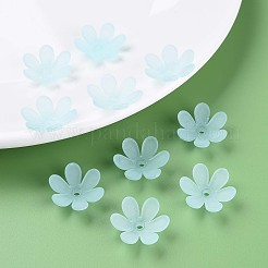 Прозрачные акриловые бусины&nbsp;X1-MACR-S373-107-D04