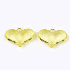 Прозрачные акриловые подвески&nbsp;TACR-S133-052