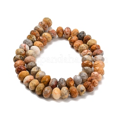 Природные сумасшедший агат бисер нитей G-C259-A04-8x12mm