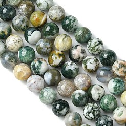 Естественно агат драгоценный камень бисер круглый пряди&nbsp;X-G-R255-8mm