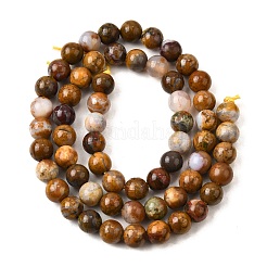 Природные африканские опал бусины пряди&nbsp;G-S390-06-6mm