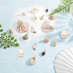 Гальванизированные спиральные ракушки и подвески из ракушек каури&nbsp;SSHEL-SC0001-12