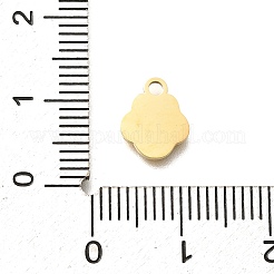 Подвески из эмалированной нержавеющей стали 304&nbsp;STAS-L022-466G-01