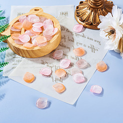 60 шт. прозрачных подвесок в стиле лэмпворк ручной работы&nbsp;LAMP-TA0001-28