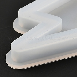 DIY молнии шейкер / зыбучие пески ювелирные силиконовые Молды&nbsp;DIY-I057-06