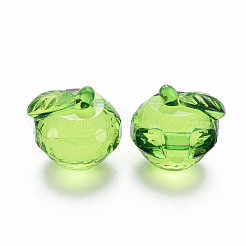 Прозрачные акриловые подвески&nbsp;TACR-T024-05B-925