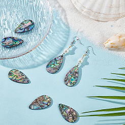 8 шт. подвески из натуральной ракушки пауа/ракушки абалона&nbsp;SHEL-BC0001-048B