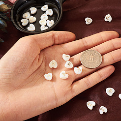 24 шт.&nbsp;BSHE-TA0001-10