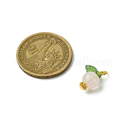 Акриловые подвески&nbsp;PALLOY-JF02615-05