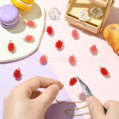 12шт 2 цвета подвески из смолы&nbsp;RESI-CJ0004-71