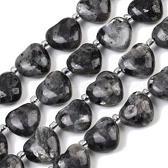 Натуральные нити бус из ларвикита&nbsp;G-NH0069-A10