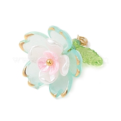 Прозрачные акриловые подвески&nbsp;PALLOY-MZ00822-05