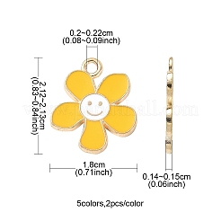 10шт 5 цвета сплава эмалевые подвески&nbsp;ENAM-YW0002-96