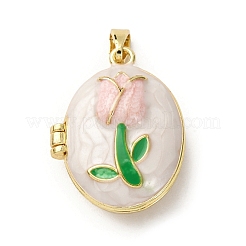 Латунь эмаль Locket подвески&nbsp;X-KK-F912-05C-G